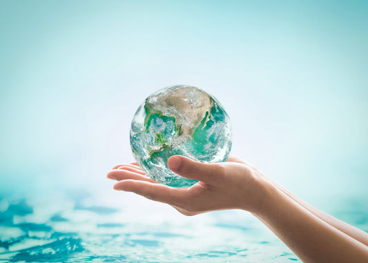 Watts 2024 Sustainability Report