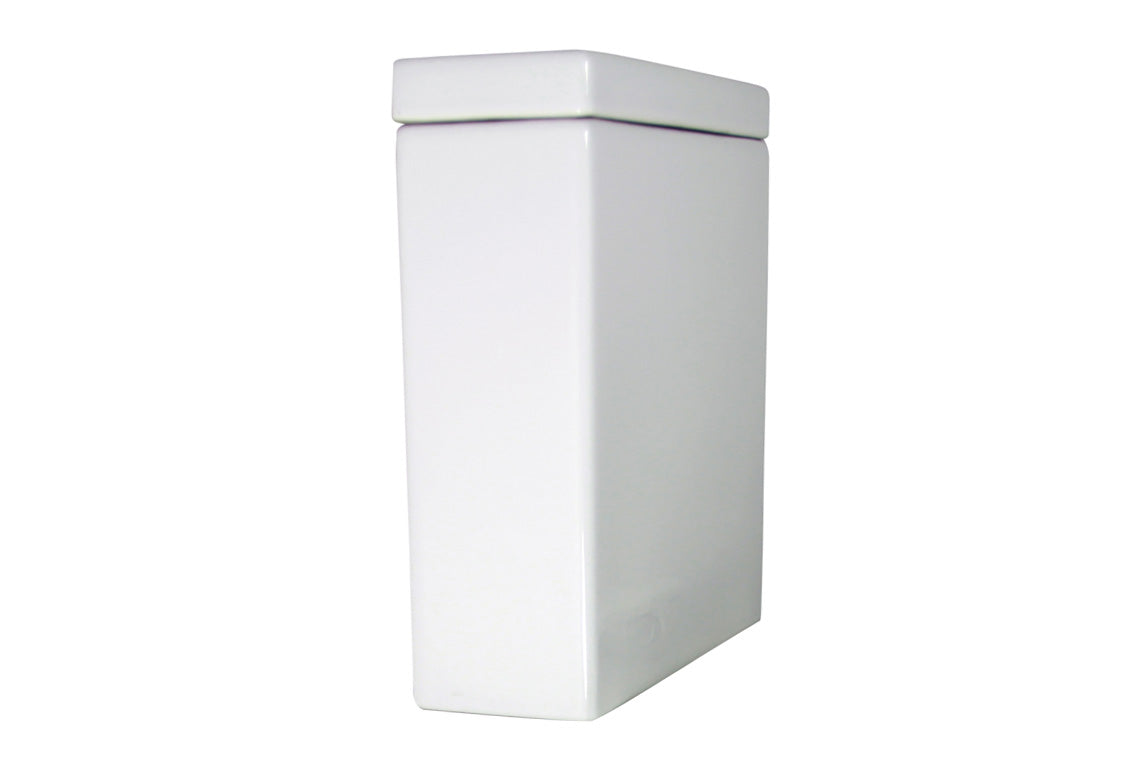Wall Faced Rimless Close-Coupled Toilet Suite - Cistern Complete