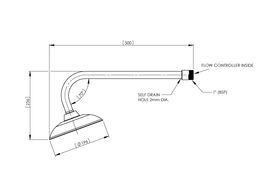 ECE Shower Arm and Rose