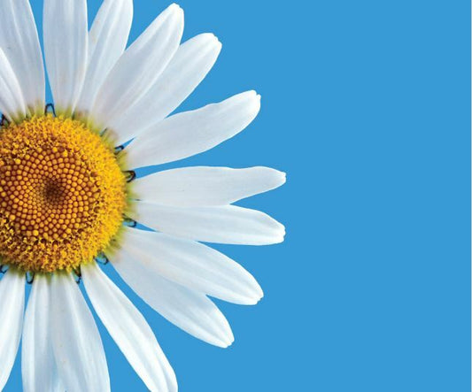 Colour Contrast Tapware for Dementia Friendly Environments