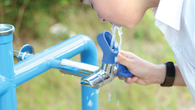 Blueline Bubblers