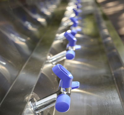 Case Study: Waverley Public School