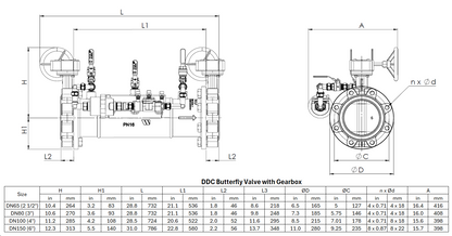 Stainless Steel Double Check Detector Assembly – GB Kit