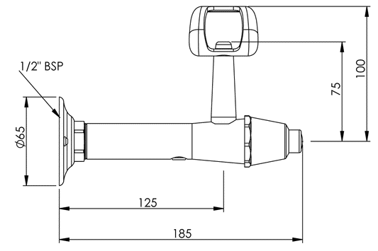 Type 100 Wall Mounted Fountain - Button Action