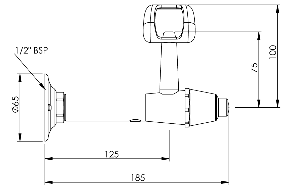 Type 100 Wall Mounted Fountain - Button Action