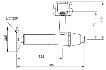 Type 100 Wall Mounted Fountain - Button Action