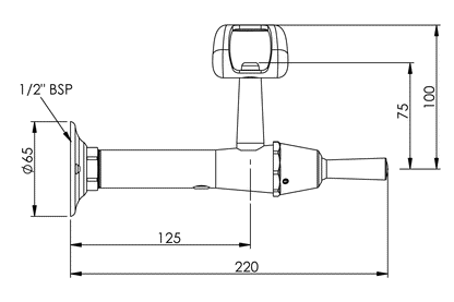 Type 100 Wall Mounted Fountain - Lever Action