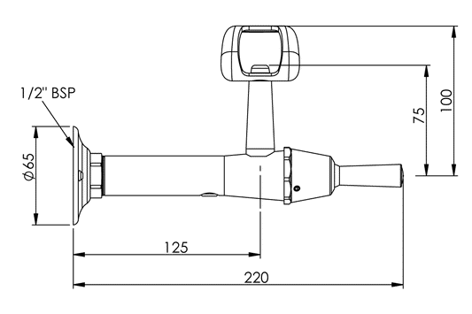 Type 100 Wall Mounted Fountain - Lever Action