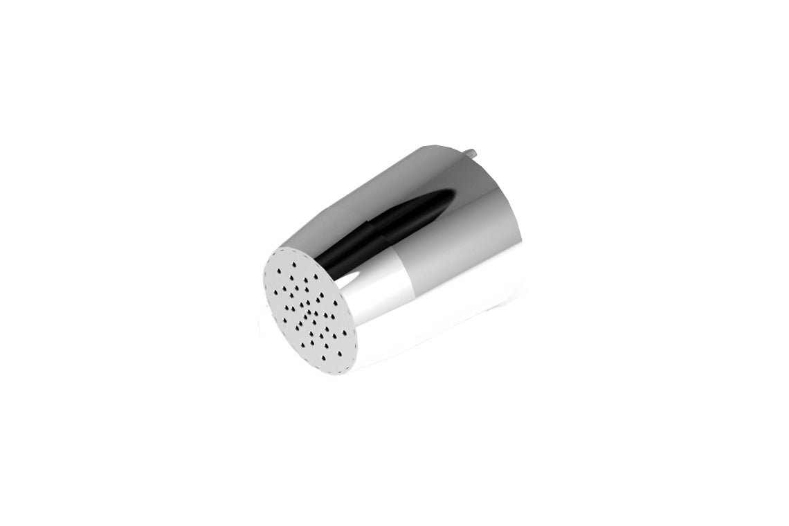 Detention: Ceiling Mounted Shower Rose