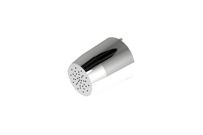 Detention: Ceiling Mounted Shower Rose