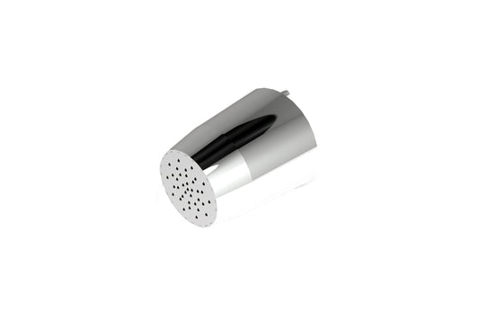 Detention: Ceiling Mounted Shower Rose