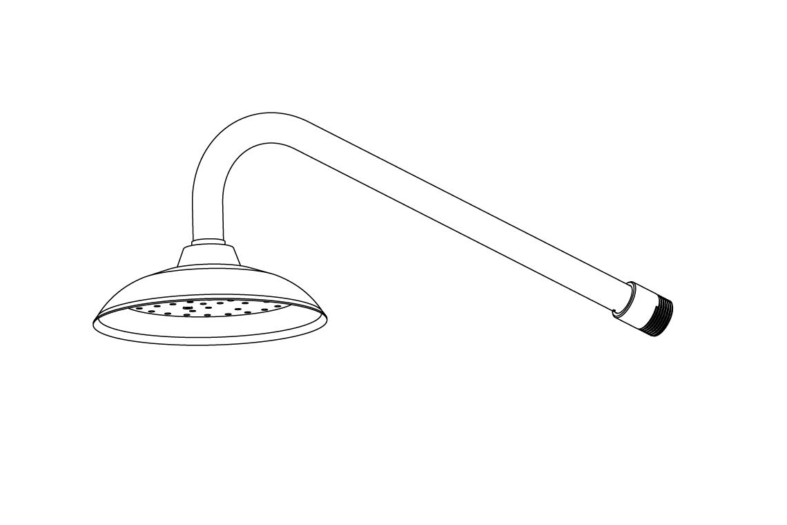 ECE Shower Arm and Rose