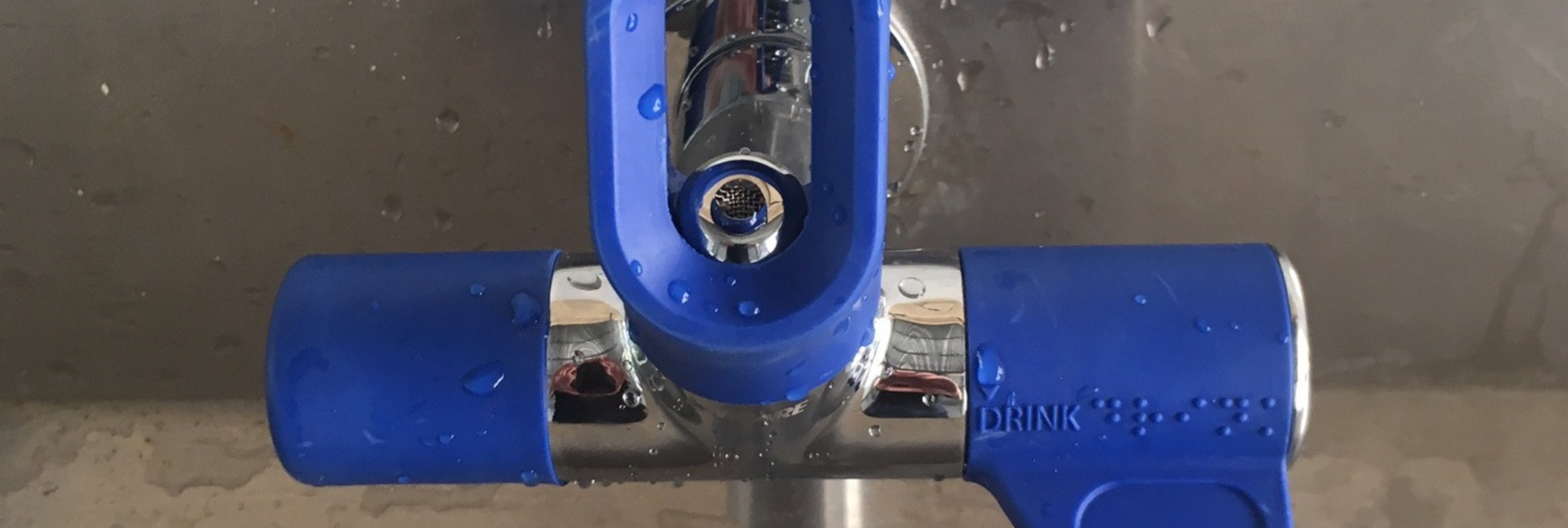 Case Study: Waverley Public School